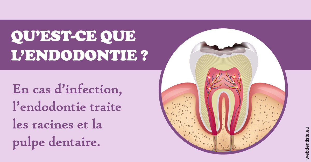 https://www.centredentaireleluc.fr/2024 T1 - Endodontie 02