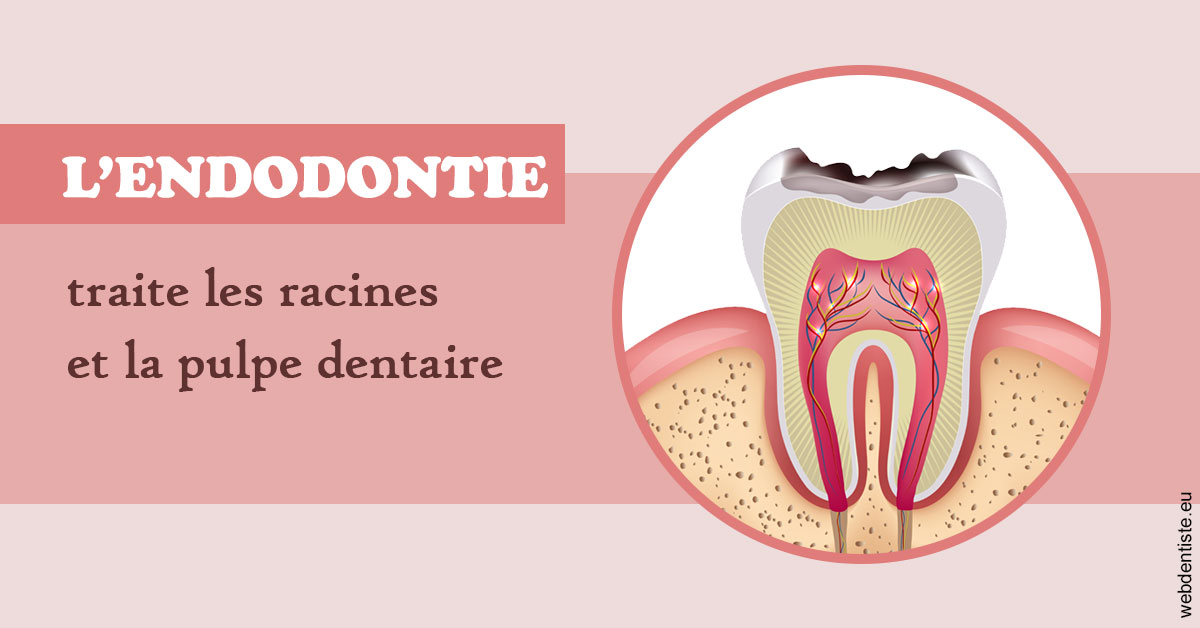 https://www.centredentaireleluc.fr/L'endodontie 2