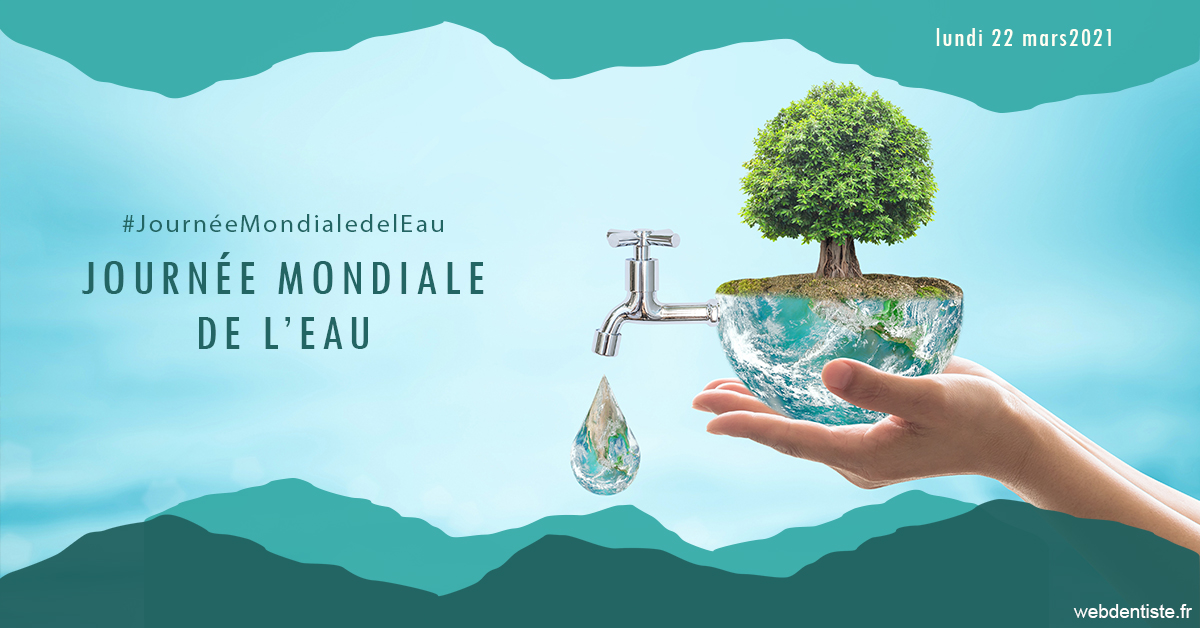https://www.centredentaireleluc.fr/Journée de l'eau 1