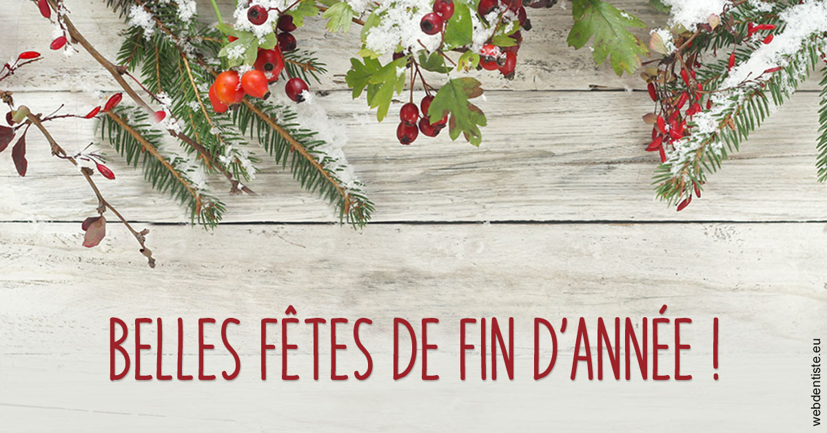 https://www.centredentaireleluc.fr/Joyeux Noël 2