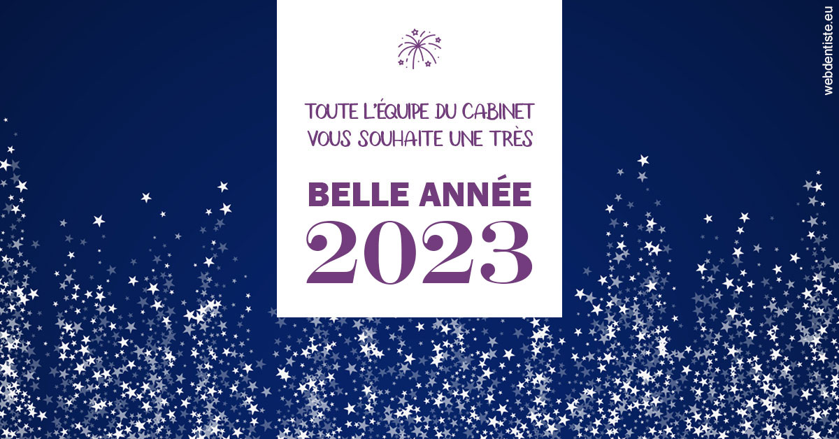 https://www.centredentaireleluc.fr/Bonne année 2023 2