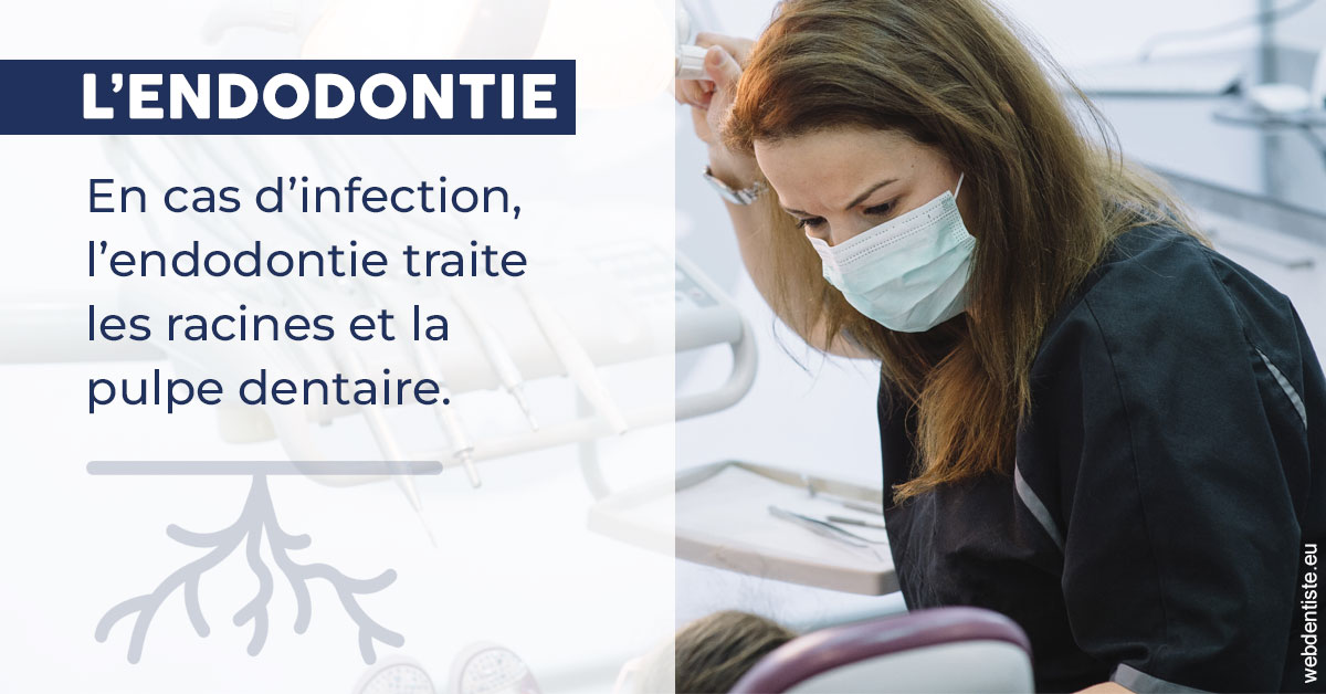 https://www.centredentaireleluc.fr/L'endodontie 1