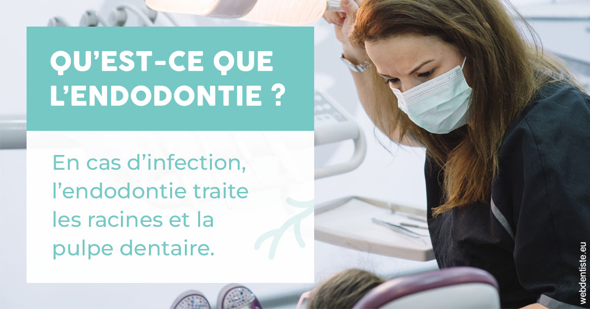 https://www.centredentaireleluc.fr/2024 T1 - Endodontie 01